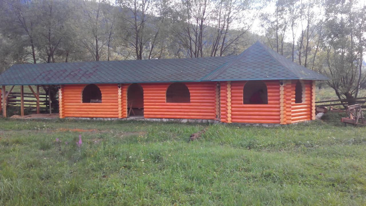 Плай Villa Verkhovyna Eksteriør billede